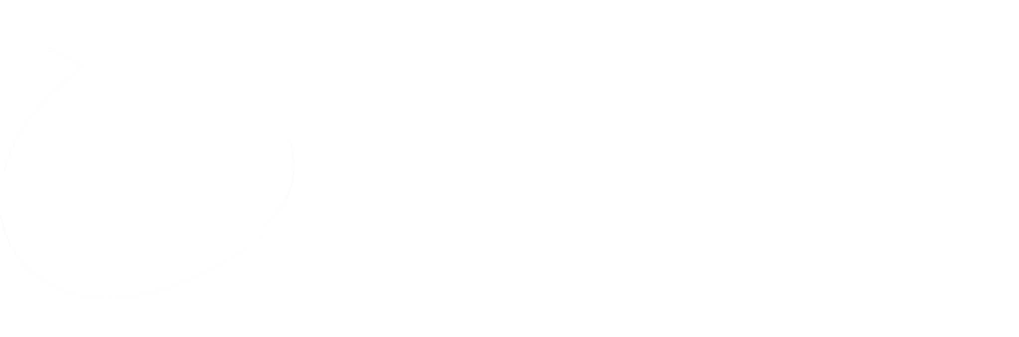 digitfruition white logo